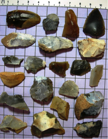 Flints from field walk near St Briavels